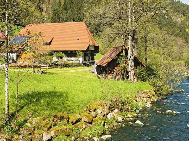 Gaestehaus Ursula Hornberg Exteriér fotografie