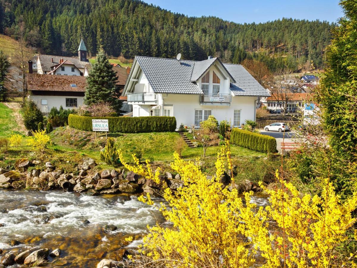 Gaestehaus Ursula Hornberg Exteriér fotografie