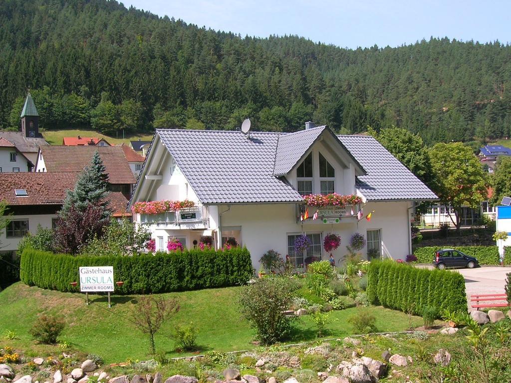 Gaestehaus Ursula Hornberg Exteriér fotografie
