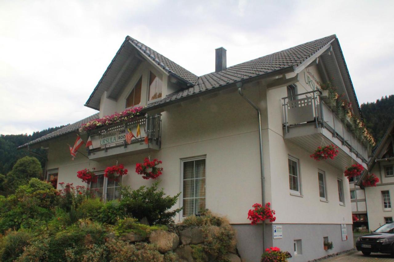 Gaestehaus Ursula Hornberg Exteriér fotografie