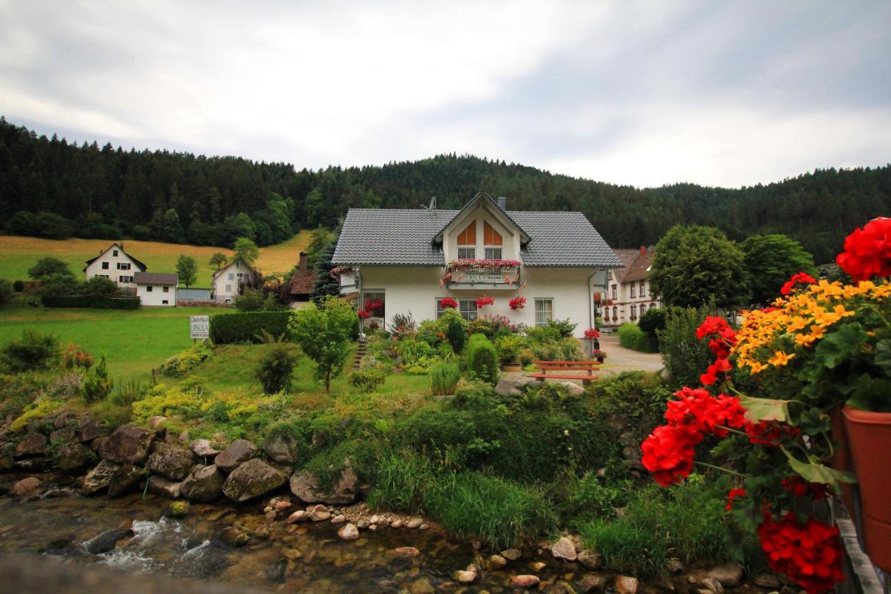 Gaestehaus Ursula Hornberg Exteriér fotografie